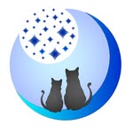 Nova veteriner kliniği